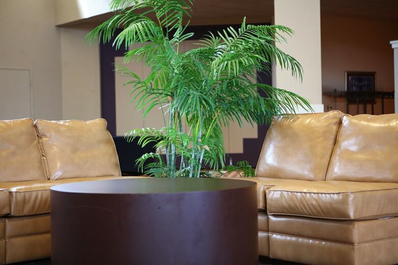 Hotel Ramada By Wyndham Midtown Grand Island
