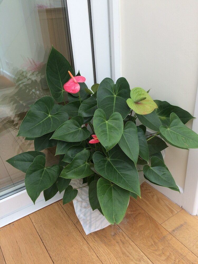 Bed & Breakfast Waters Edge