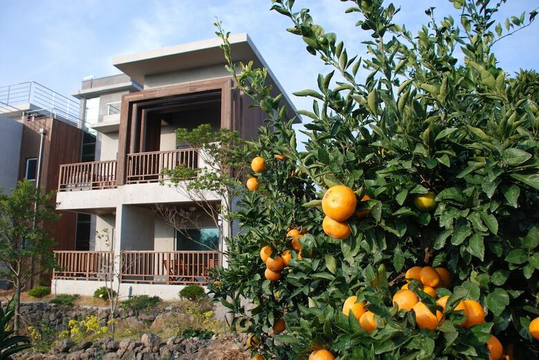 Apartamentos Jejueco Suites