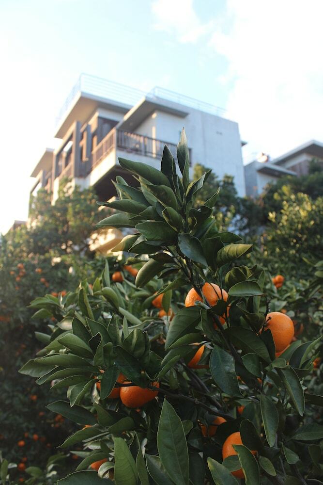 Apartamentos Jejueco Suites