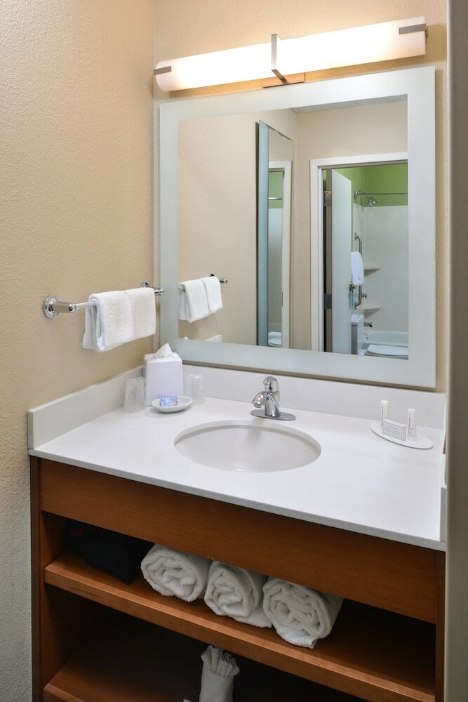Hotel Springhill Suites By Marriott Charleston Downtown Riverview