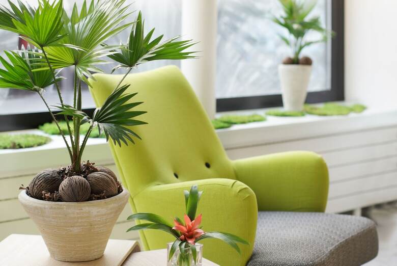Hotel H�tel Palm - Astotel