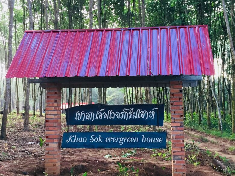 Hotel Khao Sok Evergreen House