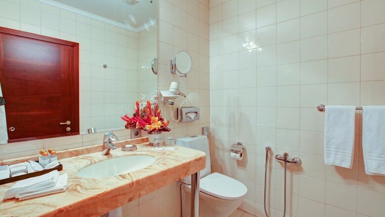 Aerostar Hotel Moscow