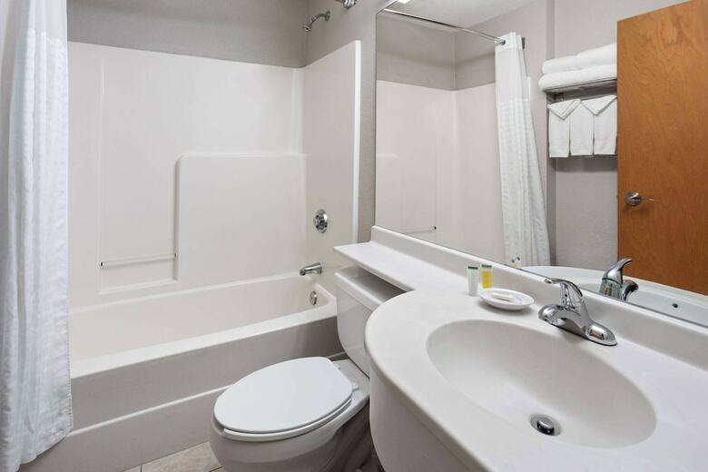 Hotel Microtel Inn & Suites By Wyndham Ann Arbor