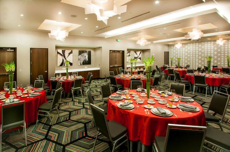 Hotel Hampton Inn & Suites Denver Downtown-convention Center