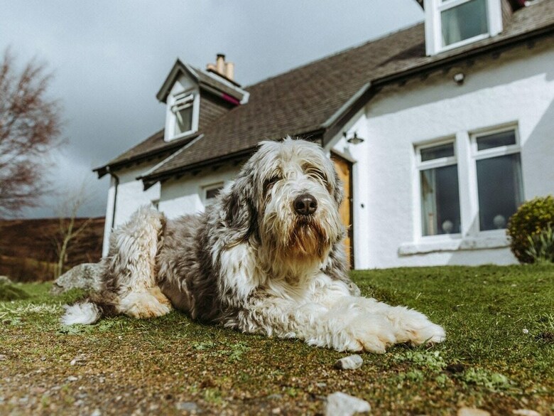 Balsporran Bed And Breakfast