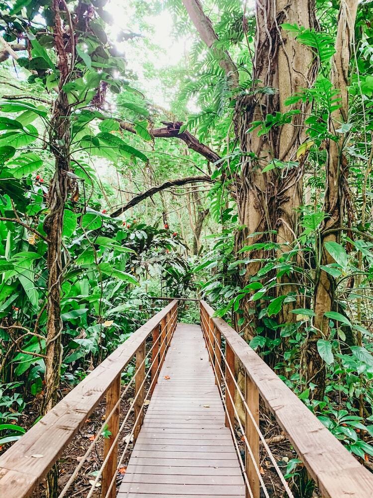 Apartamento Kauai Beach Resort