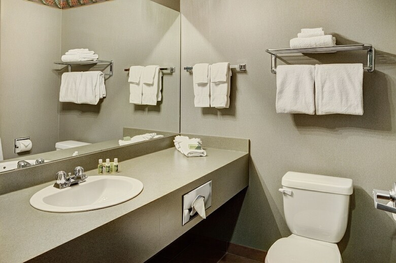 Hotel Lakeview Inns & Suites - Whitecourt