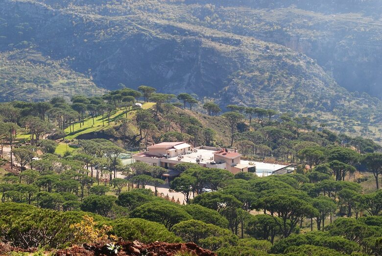 Pineland Hotel And Health Resort