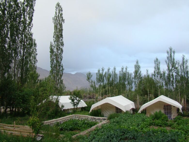 Double Humped Camp - Hunder