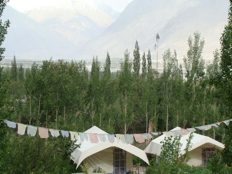 Double Humped Camp - Hunder