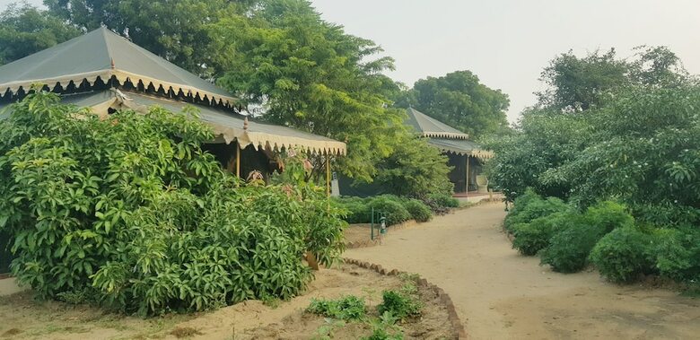 Orchard Tents & Tranquility