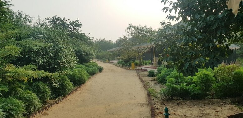 Orchard Tents & Tranquility