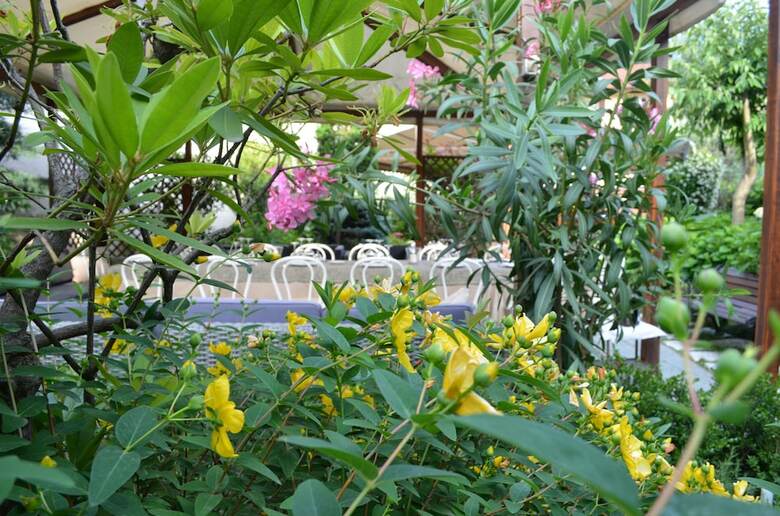 Hotel Albergo Ristorante Giardino