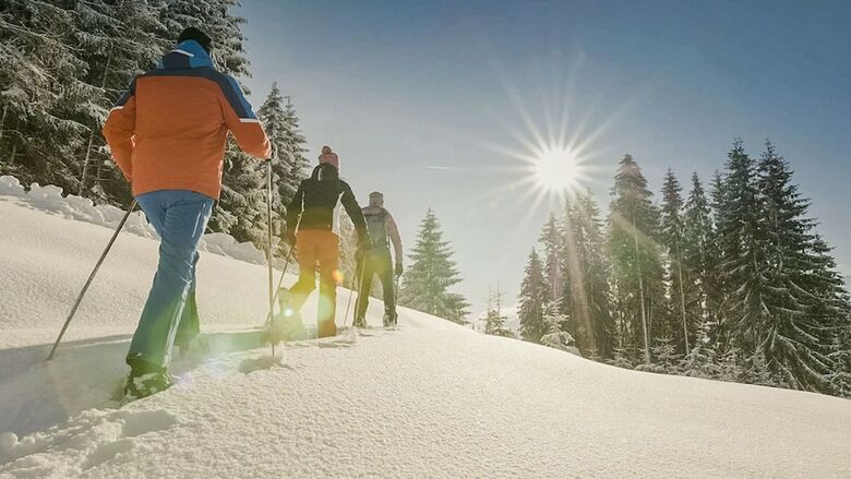 Sport- Und Wellnesshotel Held 4 Sterne Superior