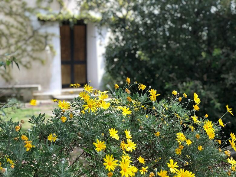 Agroturismo Masseria La Torre