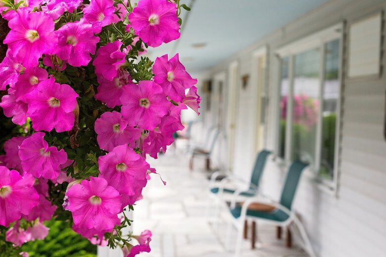 Hotel Palmer House Resort
