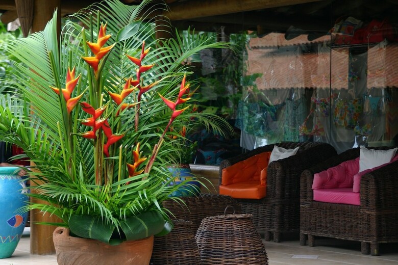 Apartamento Itamambuca Eco Resort