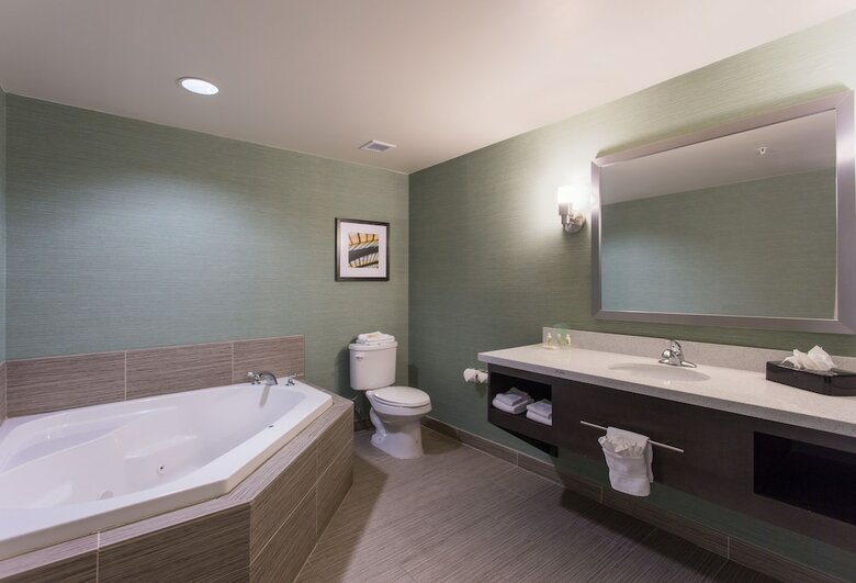 Hotel Holiday Inn Texarkana Arkansas Conv Ctr