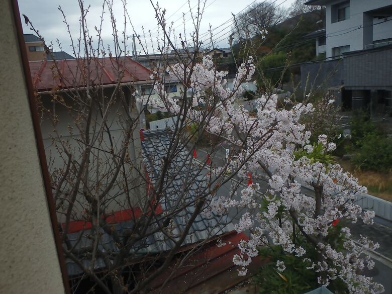Kamuro-an