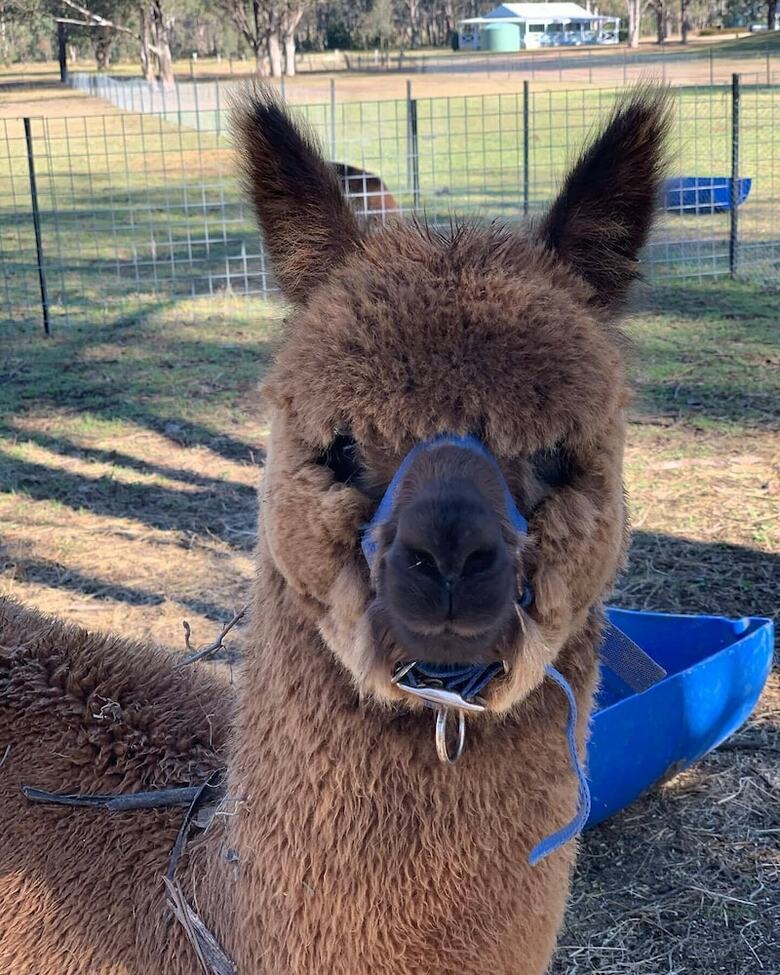 Hotel Cam-way Estate