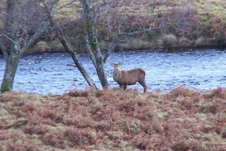 Lairg Highland Hotel