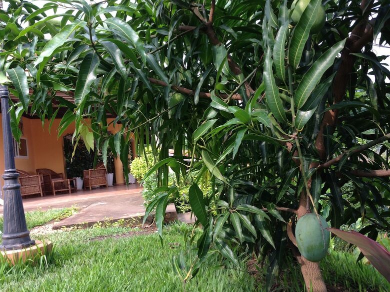 Aparthotel Jardin Tropical