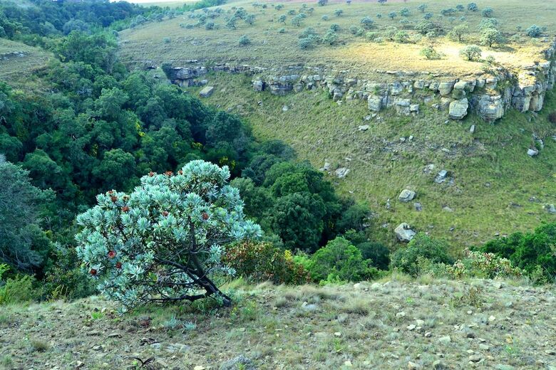 Hotel Drakensberg Mountain Retreat