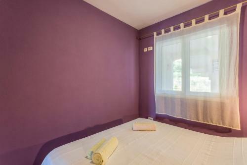 Divna Apartments And Rooms