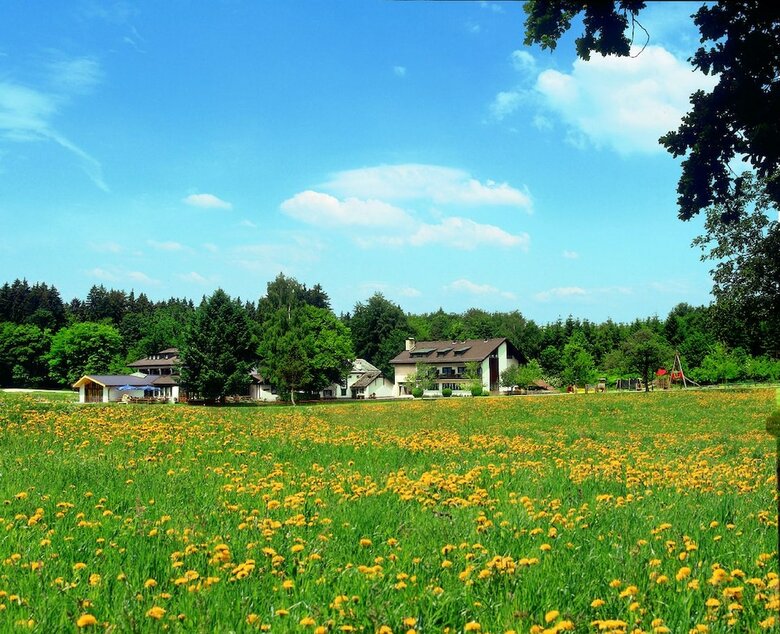 Hotel Waldgasthof Gel�nder