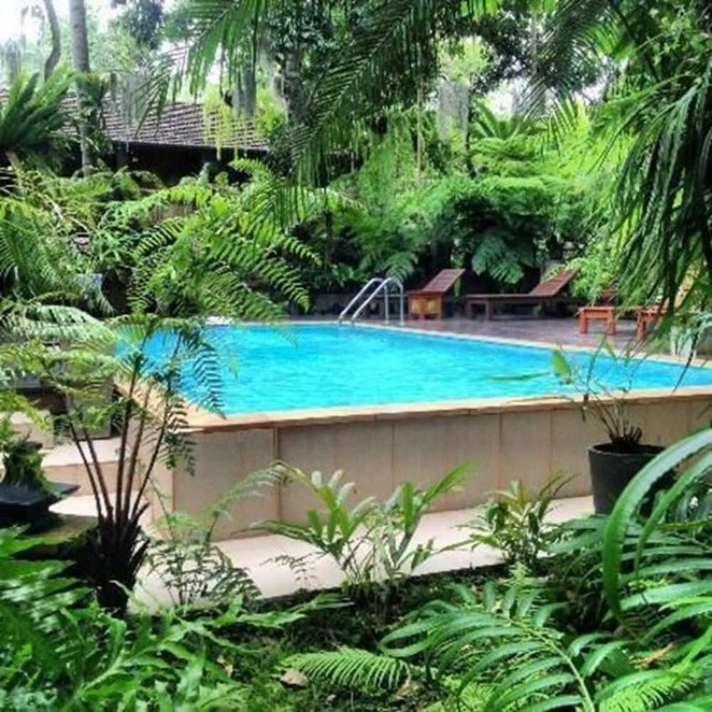 Hotel Fern Paradise