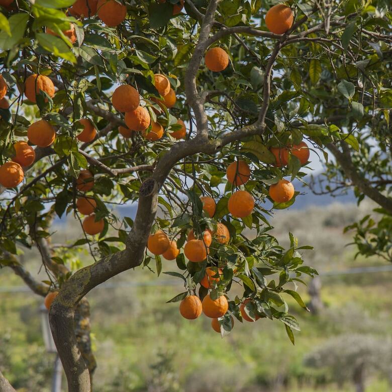 Agroturismo Agriturismo Bergi