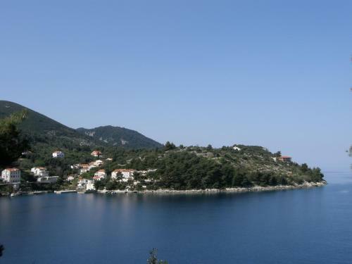 Domenica Apartments