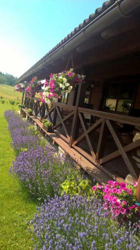 Hostal Agrotourism Japodi