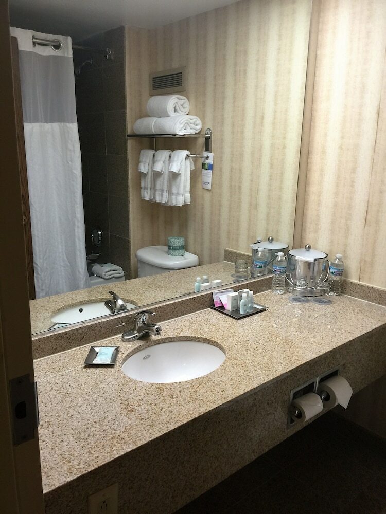 Hotel Wyndham Indianapolis West