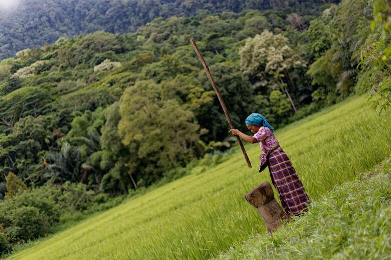 Apartamento Plataran Komodo Beach Resort