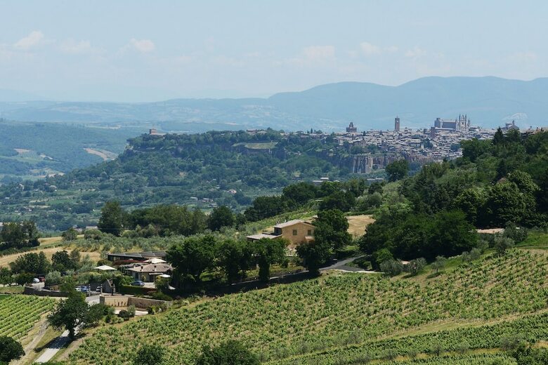 Agroturismo Altarocca Wine Resort