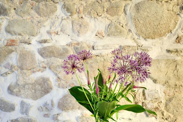 Schlosshotel F�rstlich Drehna