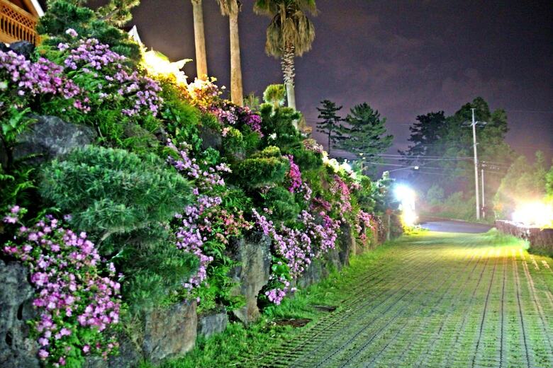 Hotel Jeju Jungmun Log Pension & Resort