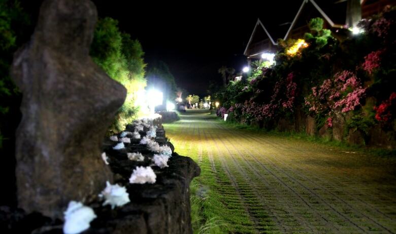 Hotel Jeju Jungmun Log Pension & Resort