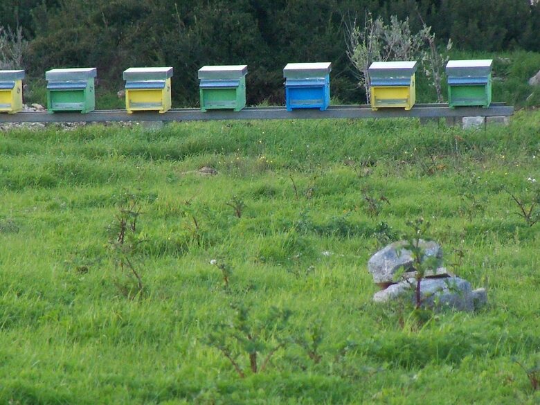 Agroturismo Agriturismo Il Pavone