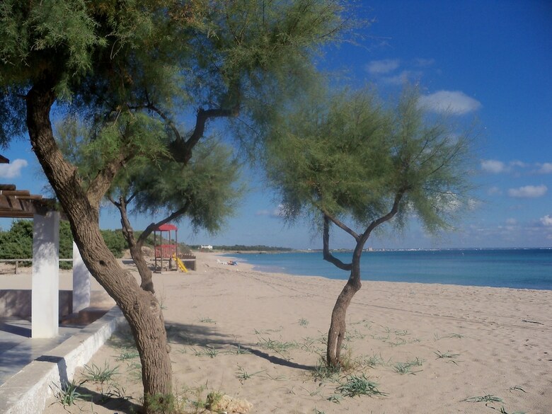 Agroturismo Agriturismo Il Pavone