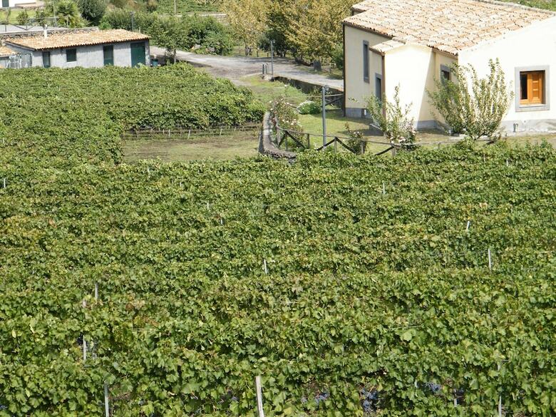 Agroturismo Etna Wine Agriturismo