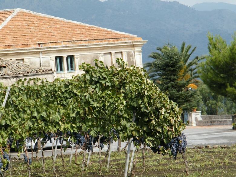Agroturismo Etna Wine Agriturismo