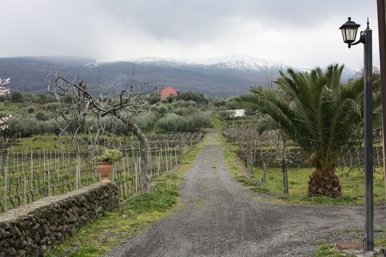 Agroturismo Etna Wine Agriturismo