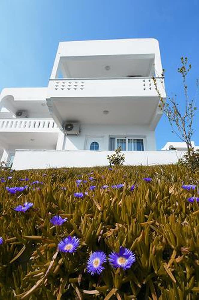 Hotel Alexandros Palace