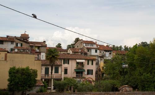 Bed & Breakfast La Gemma Di Elena
