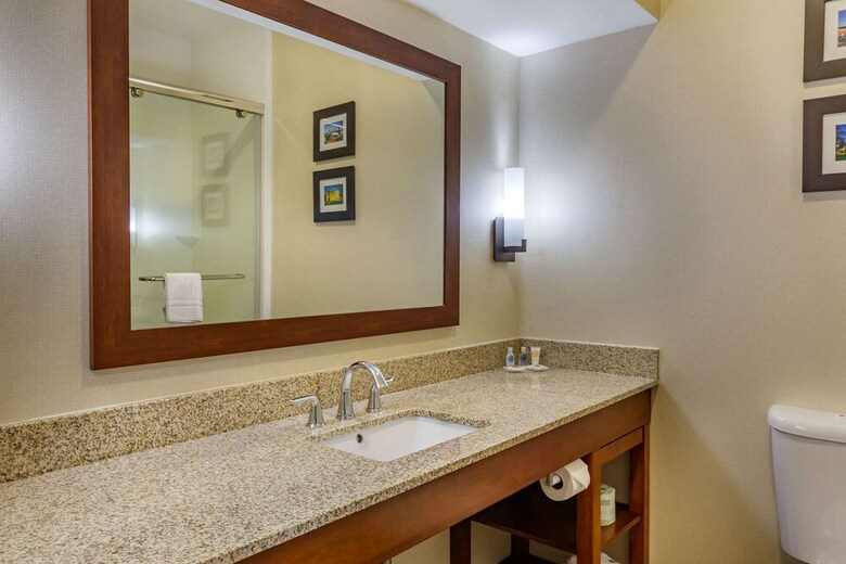 Hotel Comfort Suites Raleigh Walnut Creek