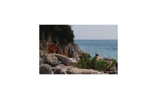 Holiday Home Hrboki III